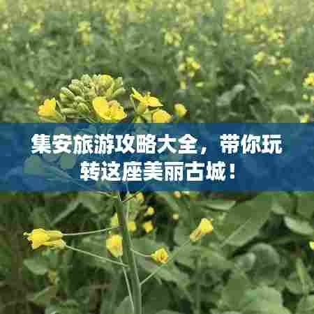 展翅欲飞 第3页