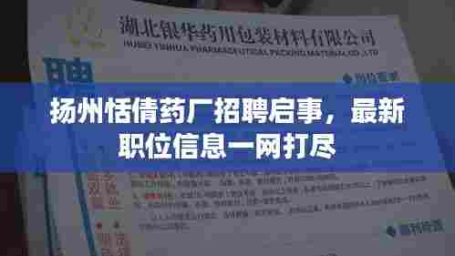 扬州恬倩药厂招聘启事,最新职位信息一网打尽