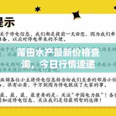 莆田水产最新价格查询,今日行情速递