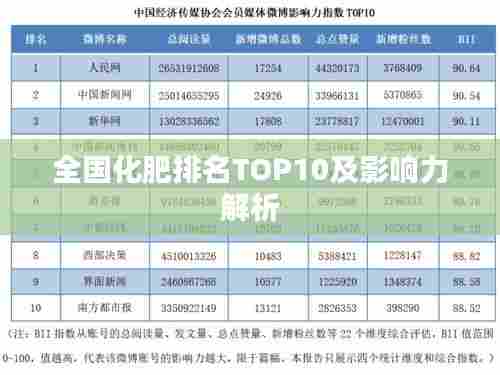 全国化肥排名TOP10及影响力解析