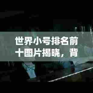 世界小号排名前十图片揭晓，背后的故事令人动容！