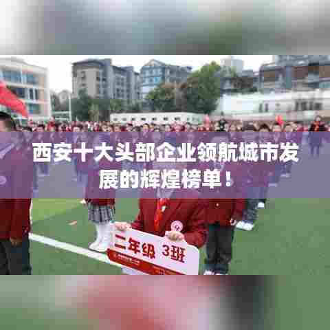 西安十大头部企业领航城市发展的辉煌榜单！