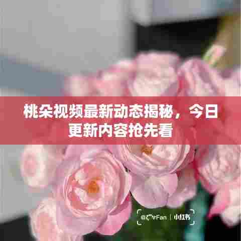桃朵视频最新动态揭秘，今日更新内容抢先看