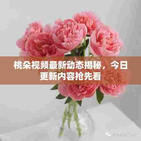 桃朵视频最新动态揭秘,今日更新内容抢先看