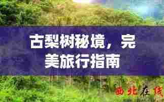 古梨树秘境,完美旅行指南