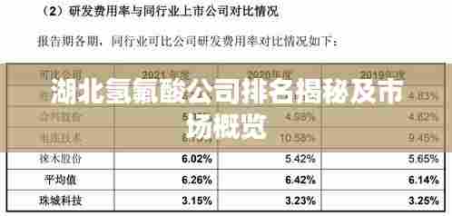 湖北氢氟酸公司排名揭秘及市场概览