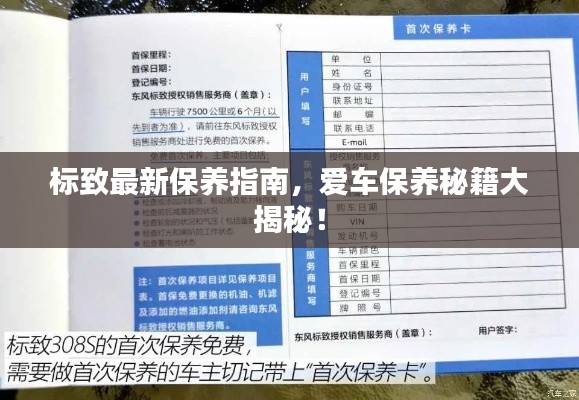 标致最新保养指南，爱车保养秘籍大揭秘！