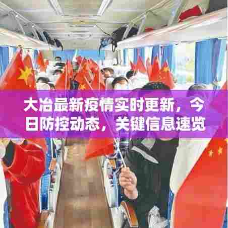 大冶最新疫情实时更新,今日防控动态,关键信息速览!