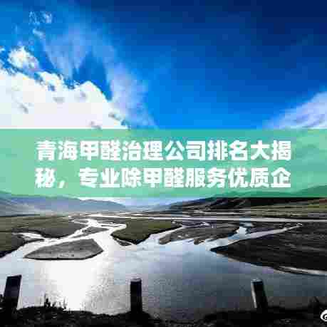 青海甲醛治理公司排名大揭秘，专业除甲醛服务优质企业榜单！