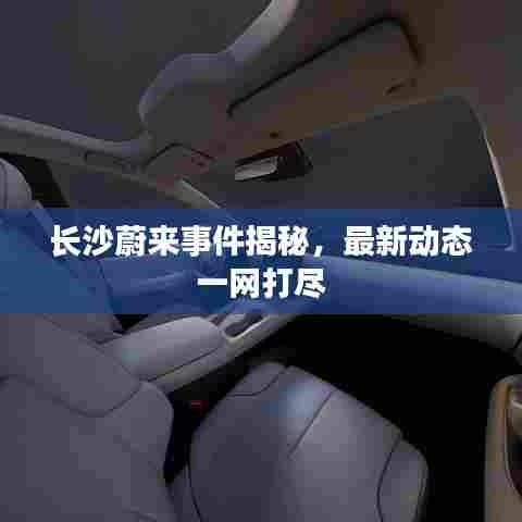 长沙蔚来事件揭秘,最新动态一网打尽