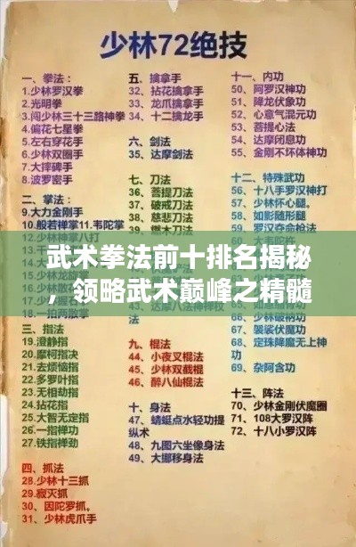 武术拳法前十排名揭秘,领略武术巅峰之精髓
