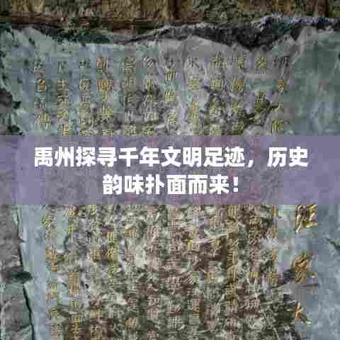 禹州探寻千年文明足迹,历史韵味扑面而来!