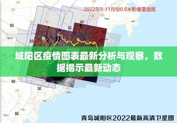 城阳区疫情图表最新分析与观察，数据揭示最新动态