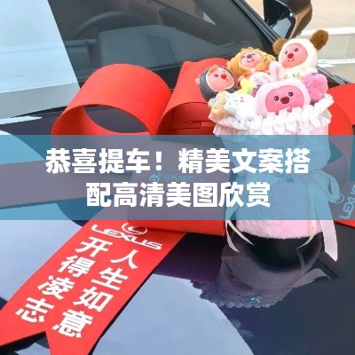 恭喜提车！精美文案搭配高清美图欣赏