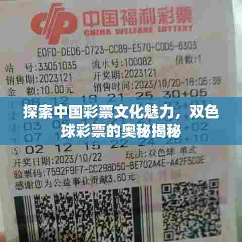 探索中国彩票文化魅力,双色球彩票的奥秘揭秘