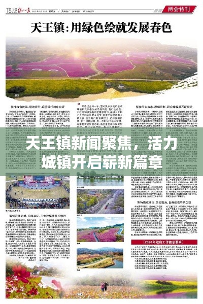 天王镇新闻聚焦,活力城镇开启崭新篇章