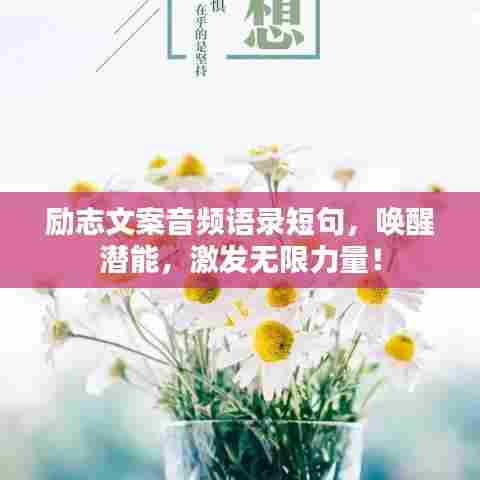 降尊纡贵 第3页