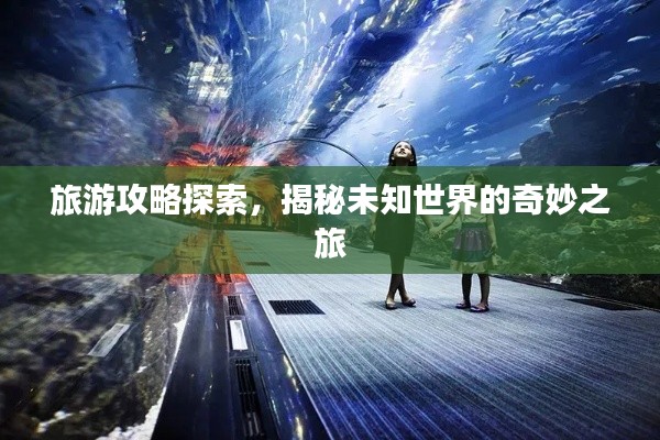 旅游攻略探索，揭秘未知世界的奇妙之旅