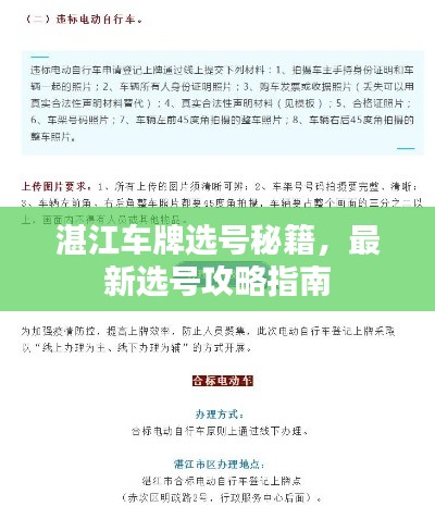 湛江车牌选号秘籍，最新选号攻略指南