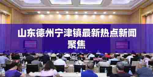 山东德州宁津镇最新热点新闻聚焦