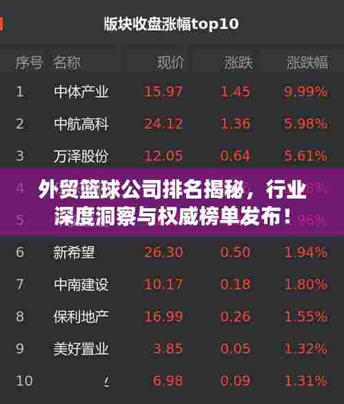 外贸篮球公司排名揭秘,行业深度洞察与权威榜单发布!