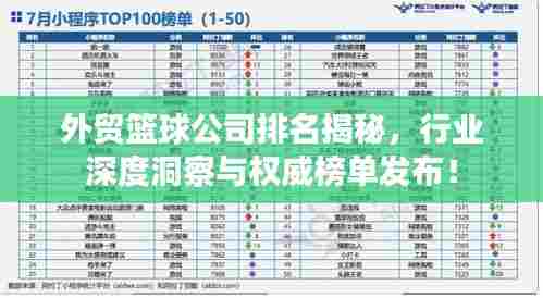 外贸篮球公司排名揭秘,行业深度洞察与权威榜单发布!
