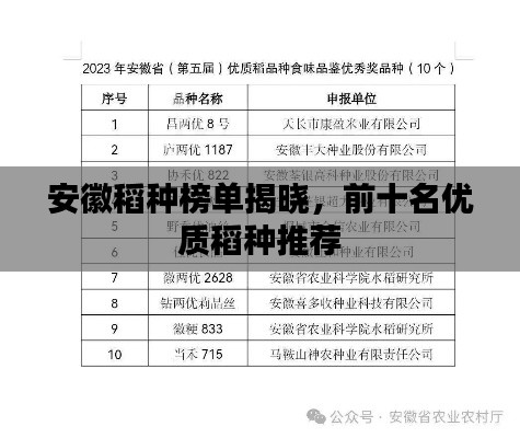 安徽稻种榜单揭晓,前十名优质稻种推荐