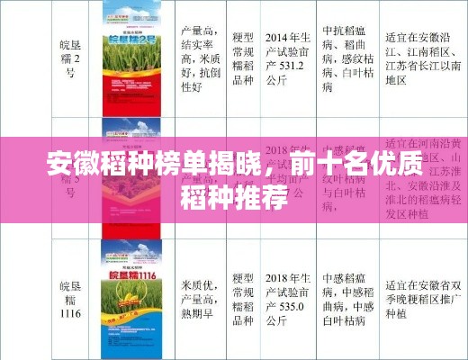 安徽稻种榜单揭晓,前十名优质稻种推荐