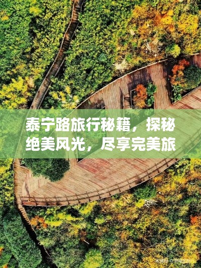 泰宁路旅行秘籍，探秘绝美风光，尽享完美旅程！