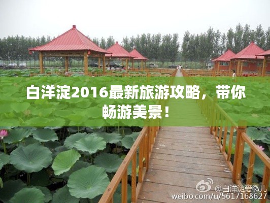 白洋淀2016最新旅游攻略，带你畅游美景！
