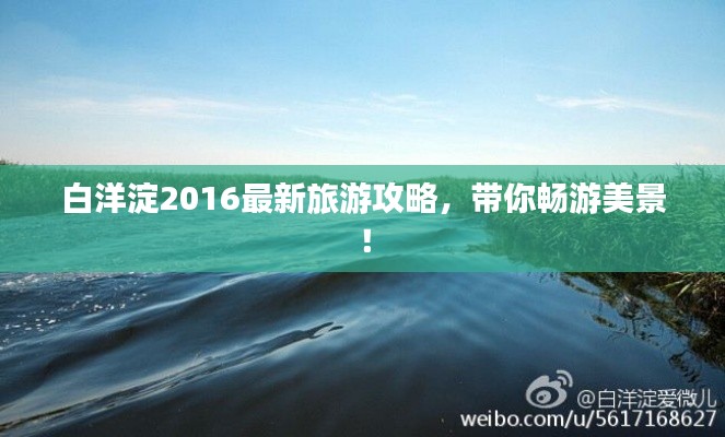 白洋淀2016最新旅游攻略,带你畅游美景!