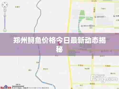 郑州鲟鱼价格今日最新动态揭秘