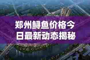 郑州鲟鱼价格今日最新动态揭秘