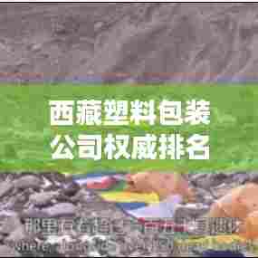 西藏塑料包装公司权威排名榜单揭晓!