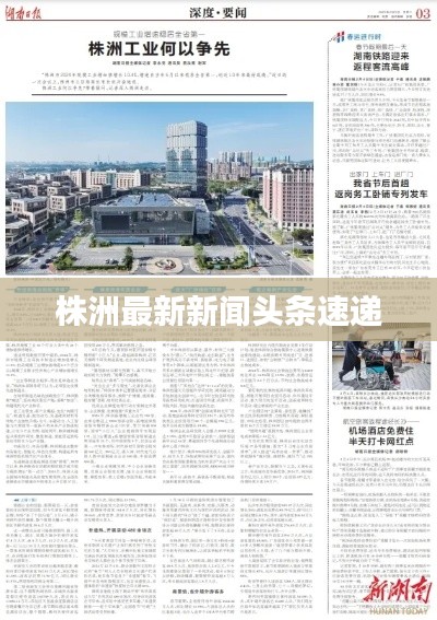 株洲最新新闻头条速递