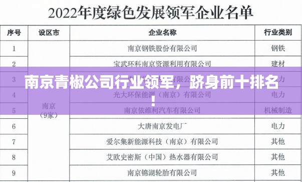 南京青椒公司行业领军，跻身前十排名！