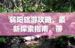 弱阳旅游攻略,最新探索指南,带你玩转这片神秘之地!