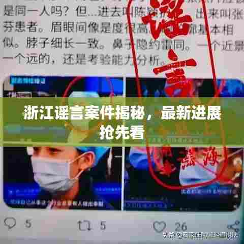 浙江谣言案件揭秘,最新进展抢先看