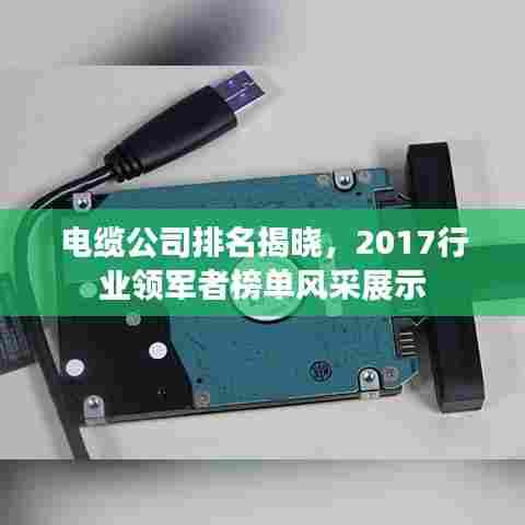 电缆公司排名揭晓，2017行业领军者榜单风采展示