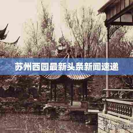 苏州西园最新头条新闻速递