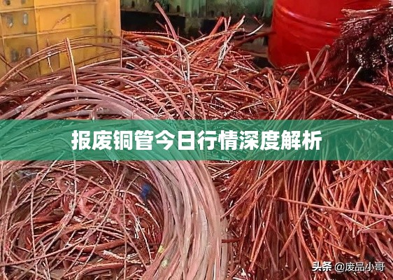 报废铜管今日行情深度解析