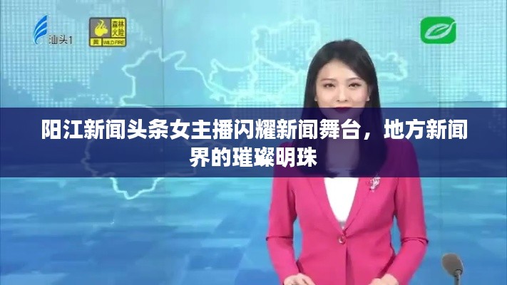 阳江新闻头条女主播闪耀新闻舞台,地方新闻界的璀璨明珠