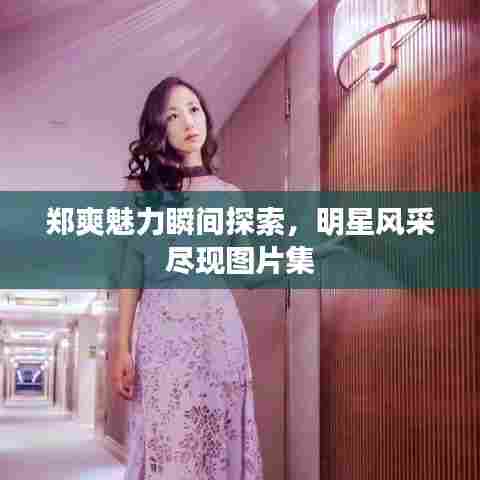 郑爽魅力瞬间探索，明星风采尽现图片集