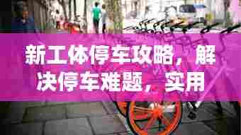 新工体停车攻略,解决停车难题,实用指南视频分享