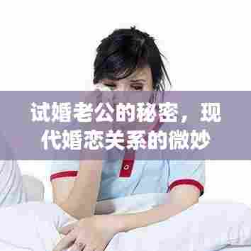 试婚老公的秘密，现代婚恋关系的微妙变化深度解析