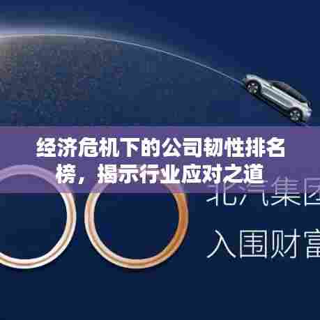 经济危机下的公司韧性排名榜,揭示行业应对之道