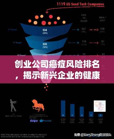 创业公司癌症风险排名,揭示新兴企业的健康挑战与风险预警