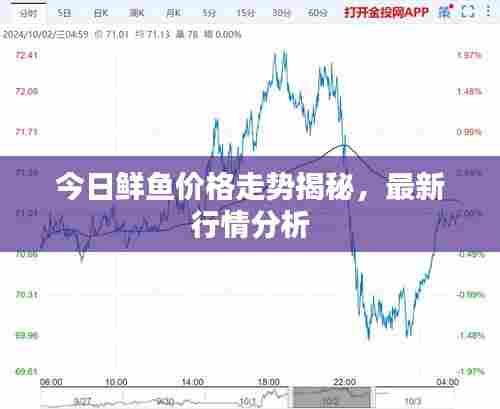 今日鲜鱼价格走势揭秘，最新行情分析