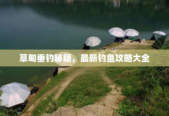 草甸垂钓秘籍，最新钓鱼攻略大全