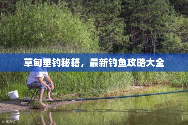 草甸垂钓秘籍,最新钓鱼攻略大全